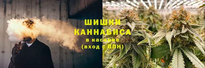 Конопля OG Kush  Апрелевка 